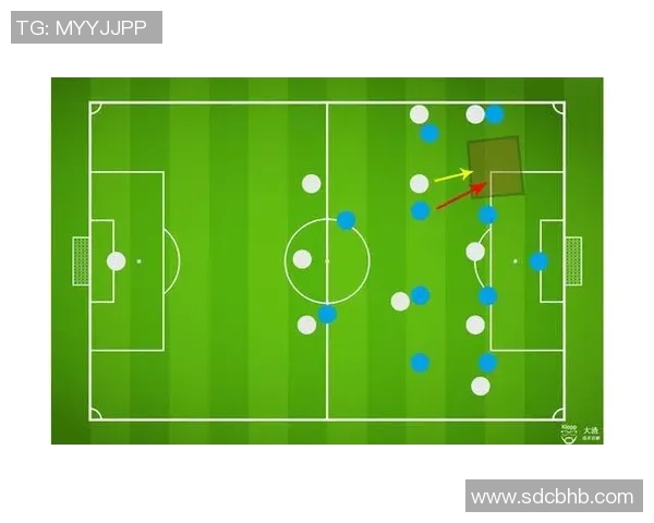 南京排球队灵活性探讨：提升竞技水平与战术应变能力的关键因素