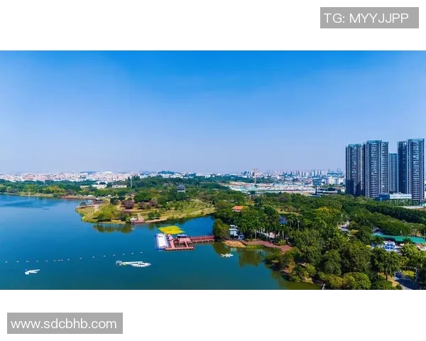 广州乒乓球队的成长之路与辉煌成就全景回顾与展望