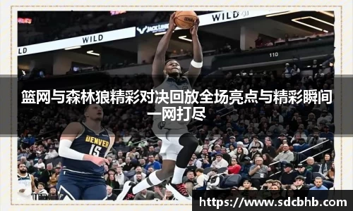 篮网与森林狼精彩对决回放全场亮点与精彩瞬间一网打尽