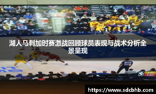 乐鱼体育平台