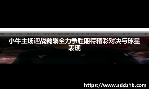 乐鱼体育平台