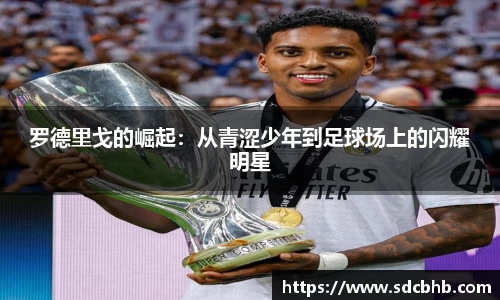 乐鱼体育平台